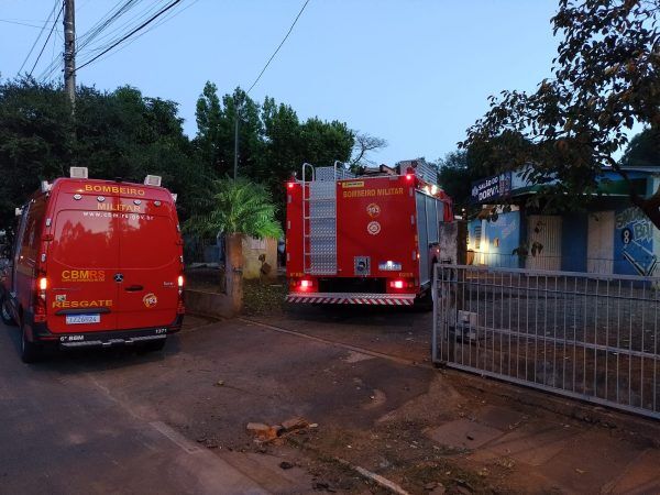 Gestante e cães são picados por abelhas em Lajeado