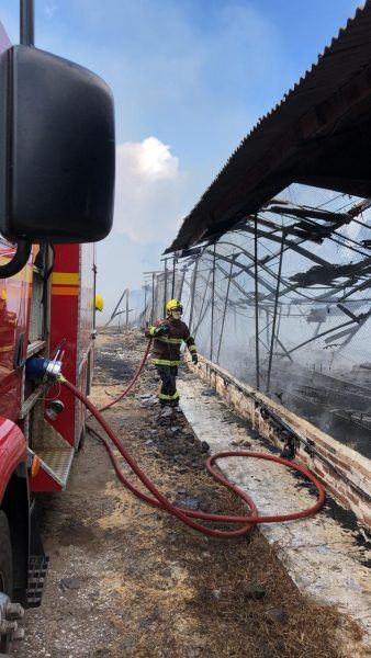 Incêndio atinge aviário em Capitão