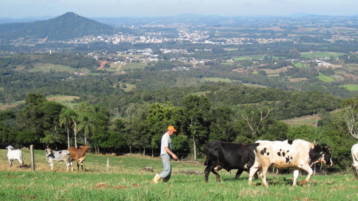 Cortes no orçamento da União alertam produção primária