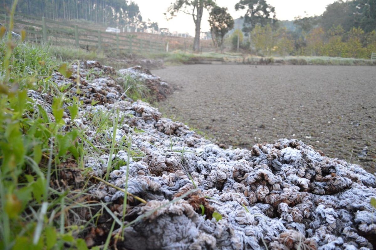 Inverno terá chuvas abaixo da média