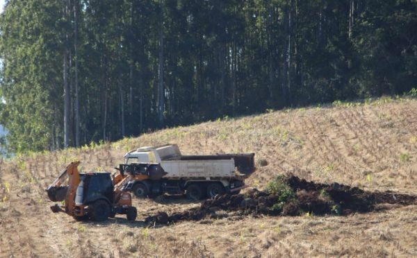 Governo investe R$ 300 mil em incentivos ao setor primário