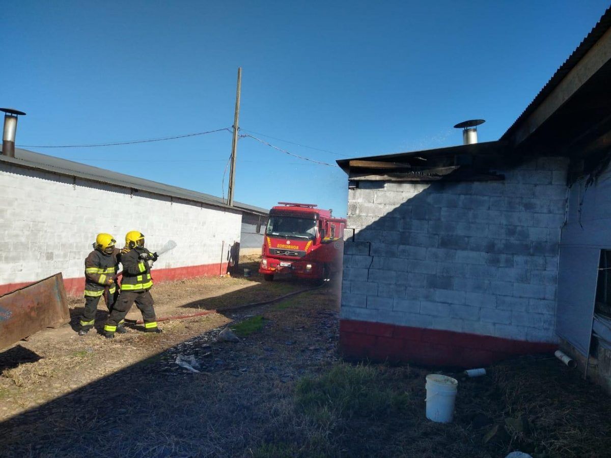 Incêndio atinge aviário em Nova Bréscia