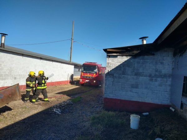 Incêndio atinge aviário em Nova Bréscia