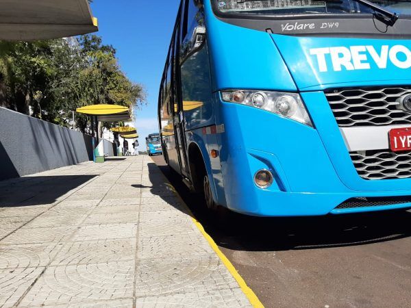 Projeto permite o translado de animais de estimação no transporte público de Estrela