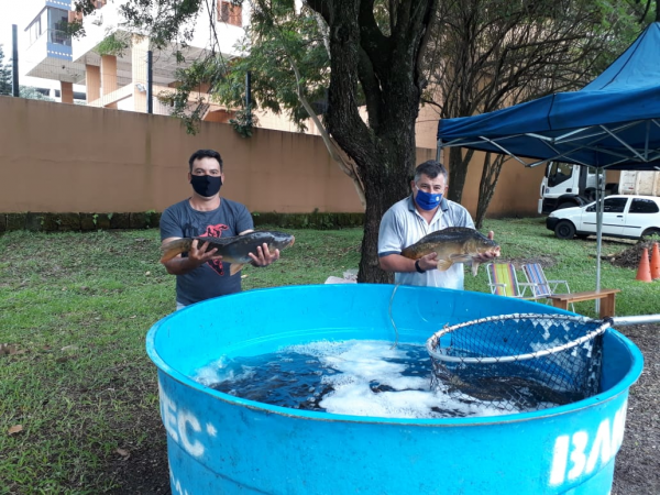 Lajeado tem Feira do Peixe Vivo na sexta-feira