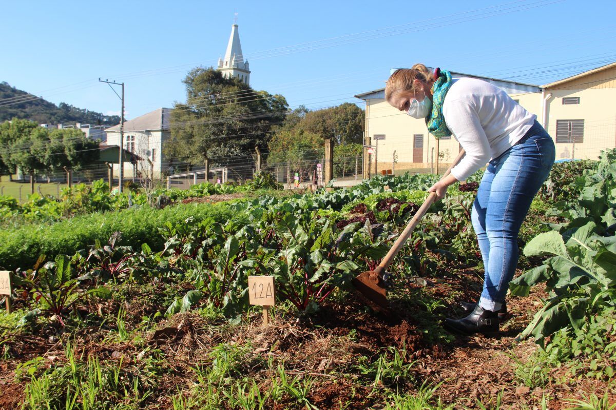 Horta comunitária oferece alimento a famílias carentes