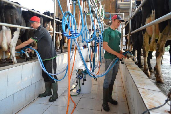 Jovens ampliam debate sobre o trabalho no campo