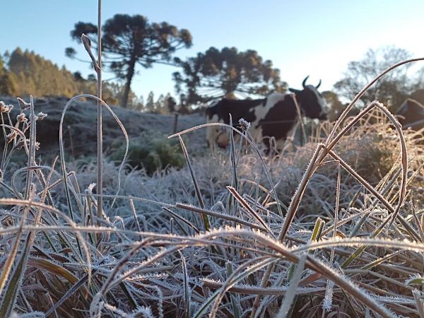 Geada e frio intenso marcam amanhecer deste sábado no Vale