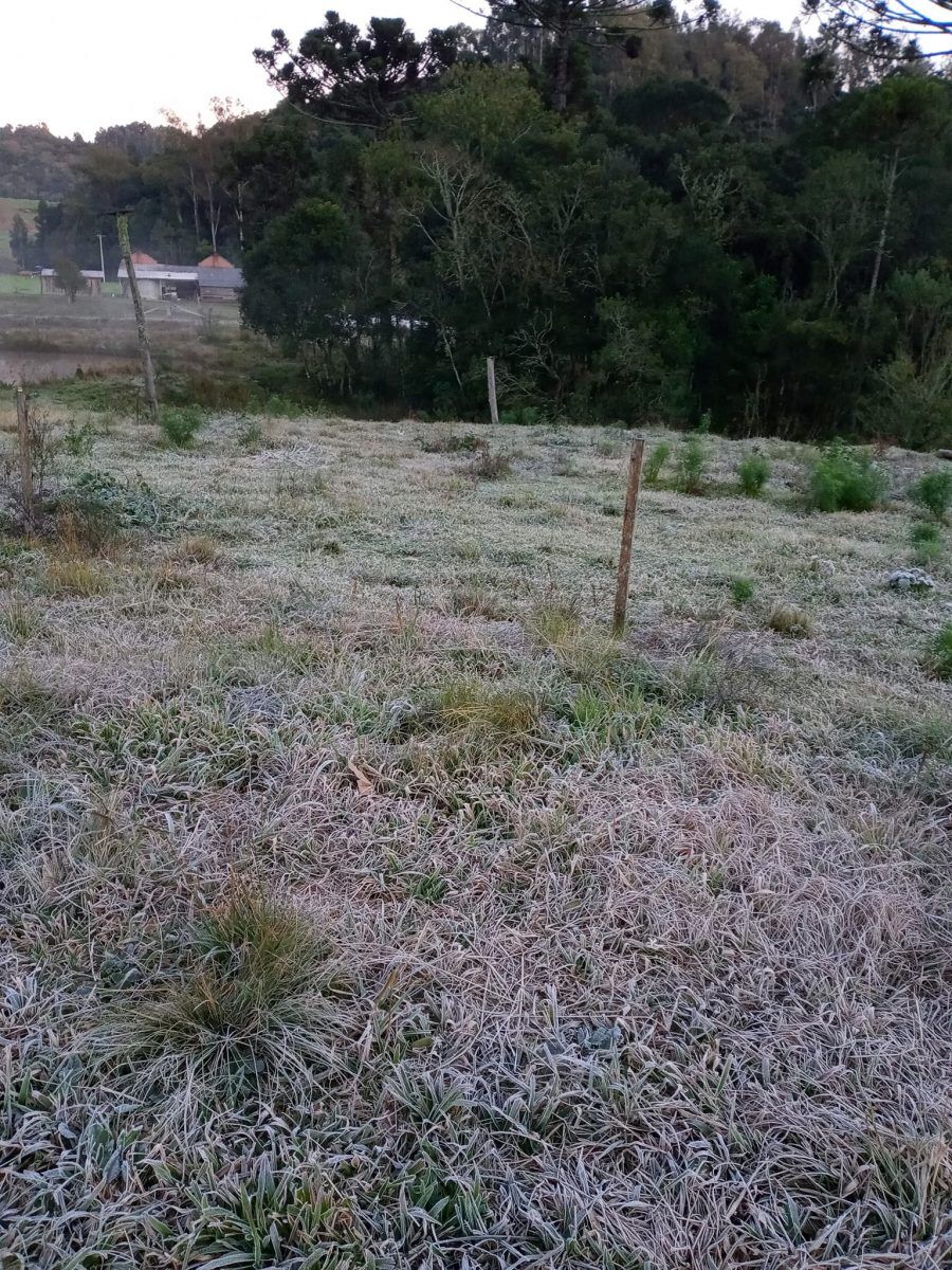 Boqueirão do Leão registra mínima de 1°C e geada