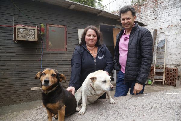 Cães comunitários são alternativa para canis superlotados