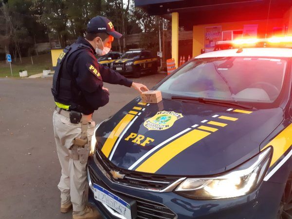PRF resgata pássaro da espécie bico-de-pimenta em Paverama