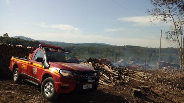 Bombeiros combatem incêndio em mato de eucalipto