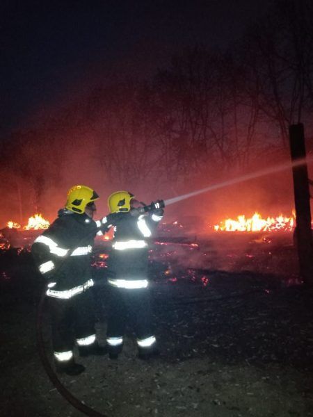 Incêndio consome aviário de 2.520m² em Roca Sales