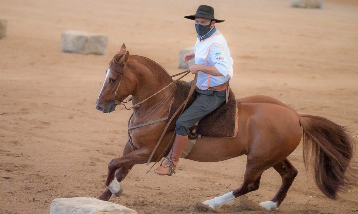 Criadores selecionam os melhores para Expointer