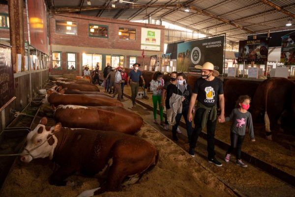 Clima de retomada é a marca dos primeiros dias da Expointer 2021