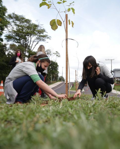 Projeto estimula plantio de mudas e desperta consciência