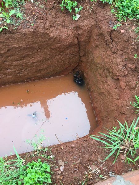 Bombeiros resgatam cachorro que caiu em fossa em Paverama