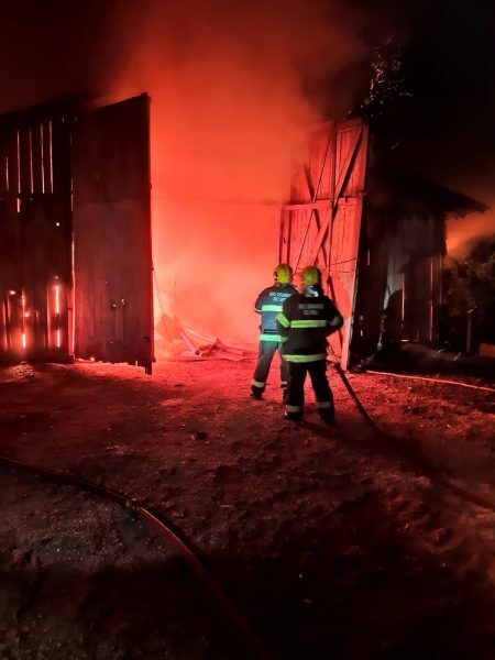 Aviário é consumido por incêndio no interior de Encantado
