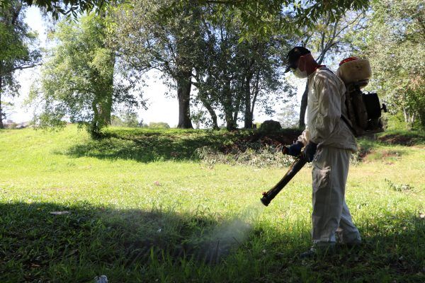 Lajeado inicia mutirão de combate a mosquitos