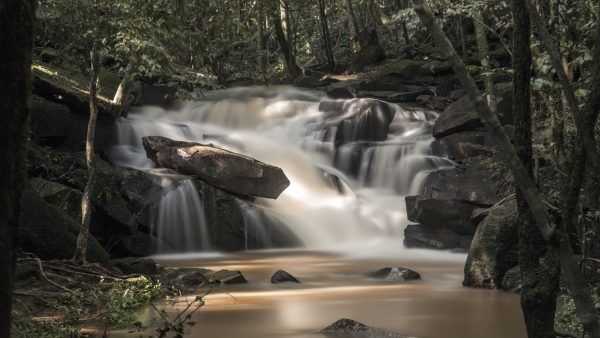 Cartilha da Água ensina sobre cuidado ambiental