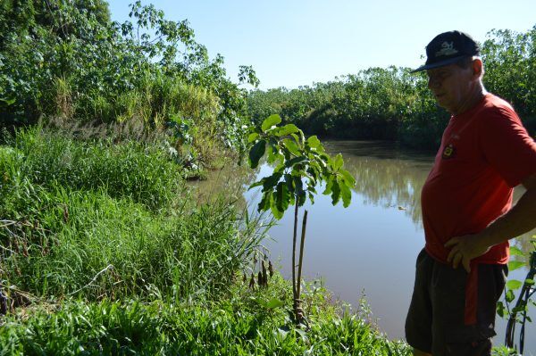 Preservação ambiental pode gerar renda aos produtores