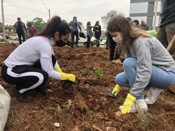 Acil promove plantio de 100 mudas de árvores