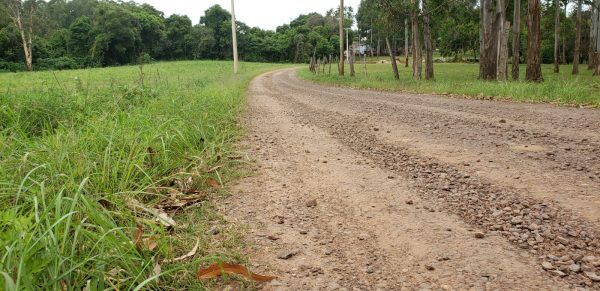 Comunidade exige asfaltamento no bairro Conservas