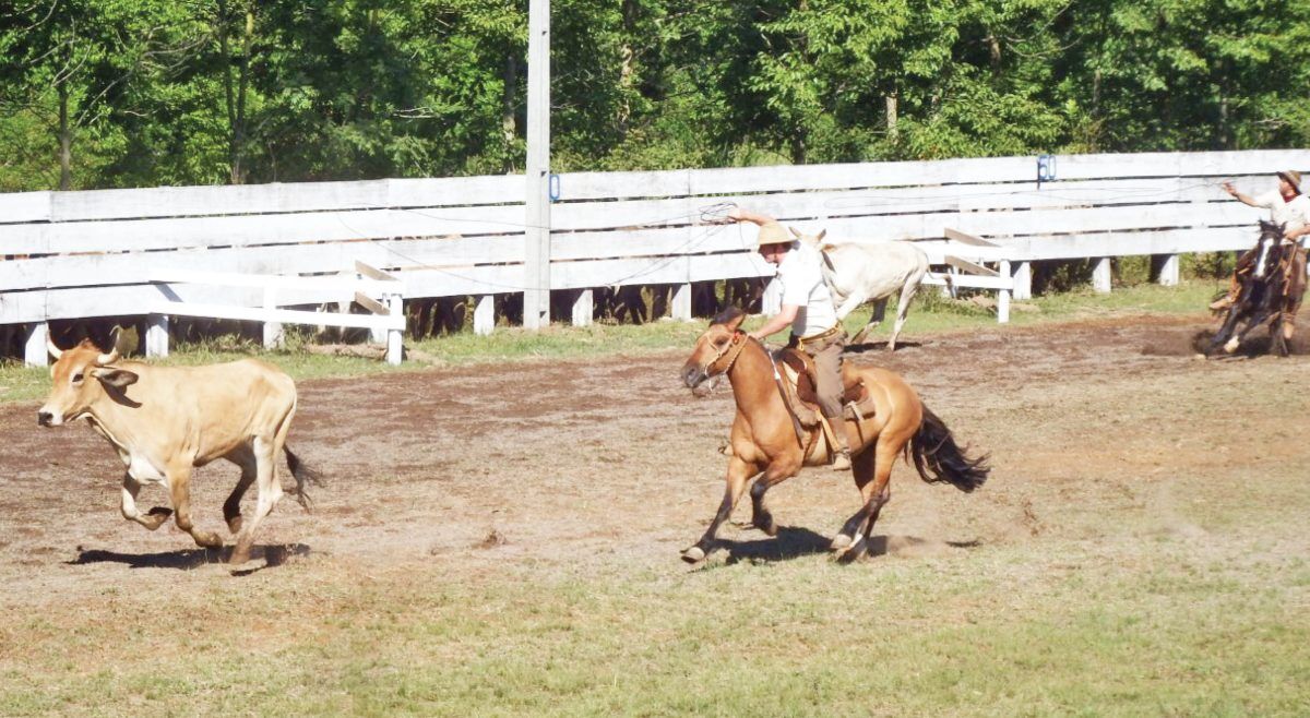 CTG Querência organiza  18º Rodeio Crioulo Estadual 