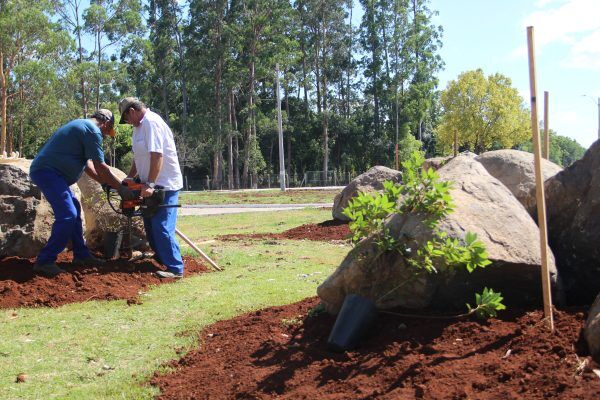 Parque recebe projeto de arborização