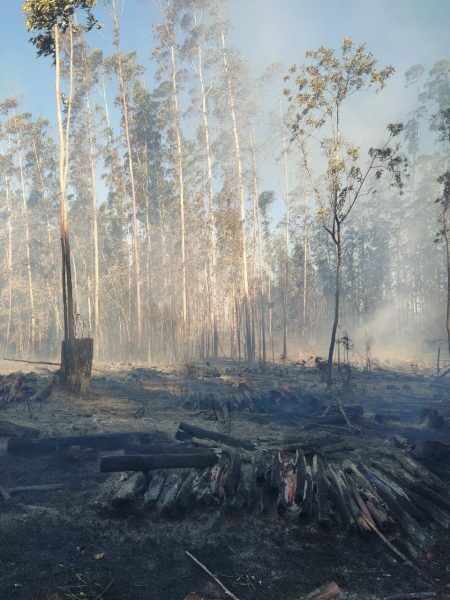 Incêndio atinge plantações e provoca evacuação de escola