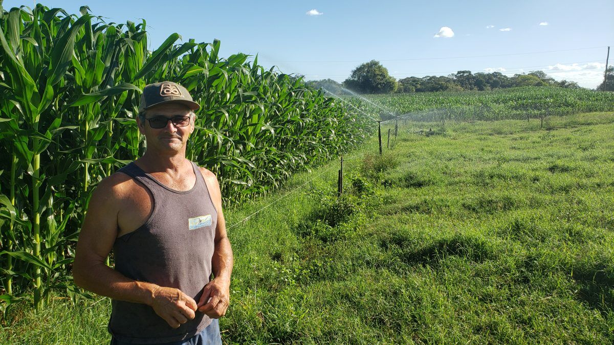 Perda de 60% no milho evoca importância da irrigação