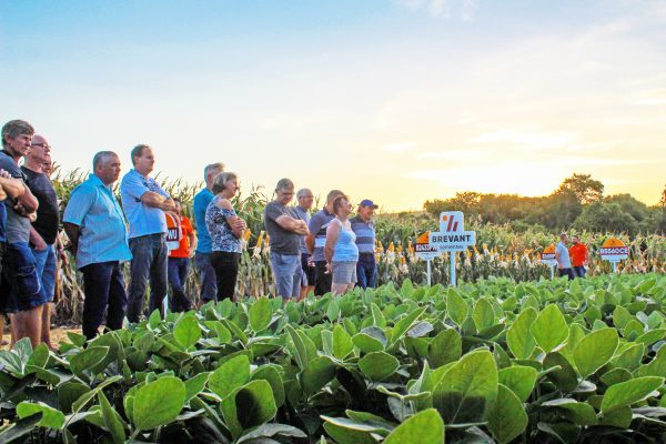 Dia de Campo AgroKlein apresenta novidades a agricultores do Vale