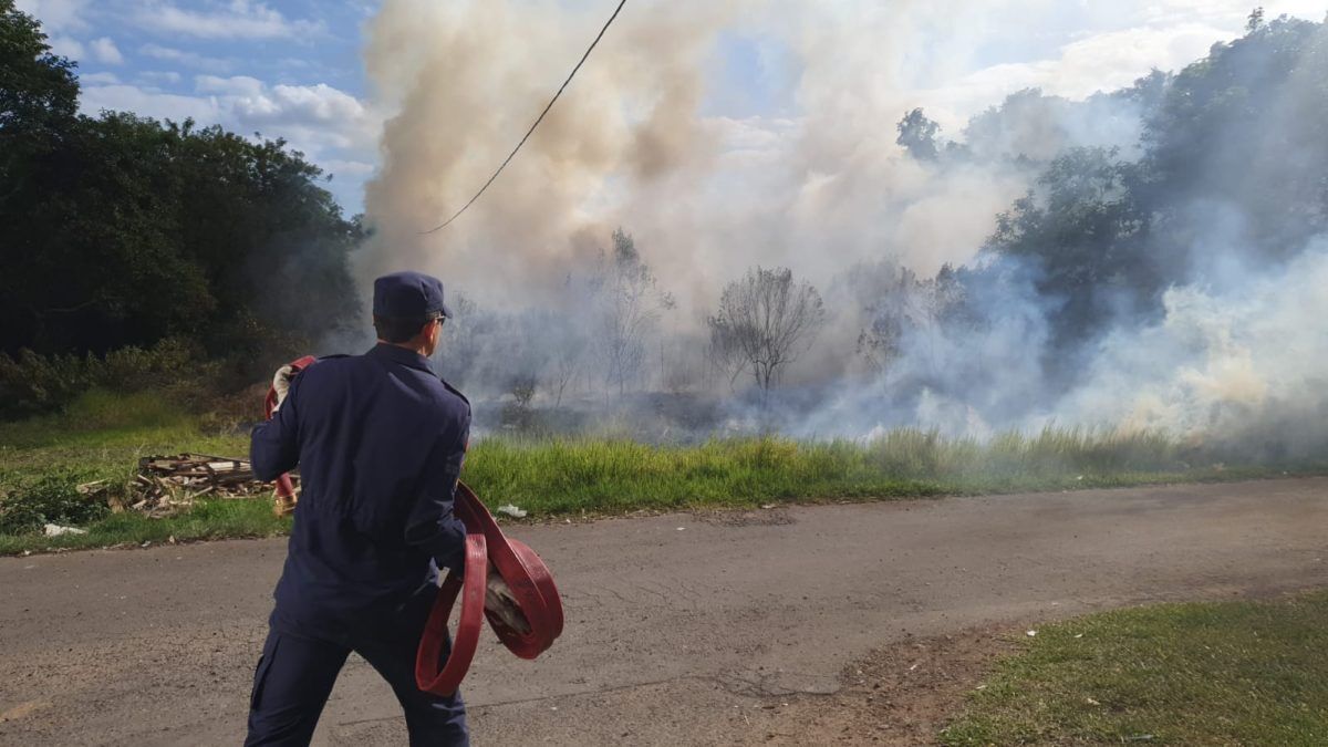 Bombeiros atendem incêndio em vegetação no bairro Moinhos