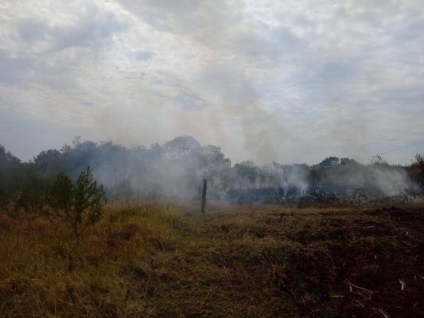 Bombeiros combatem incêndio em vegetação