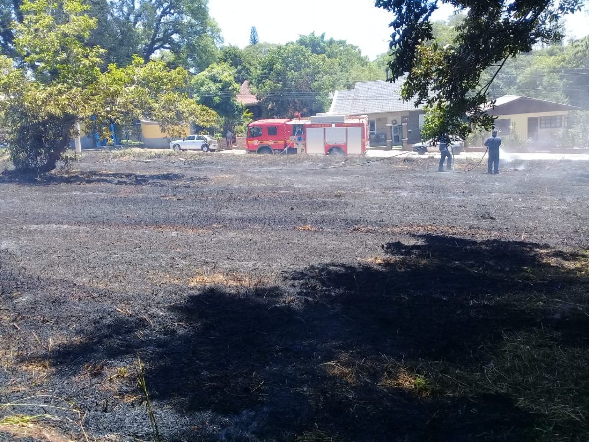 Bombeiros controlam incêndio em vegetação