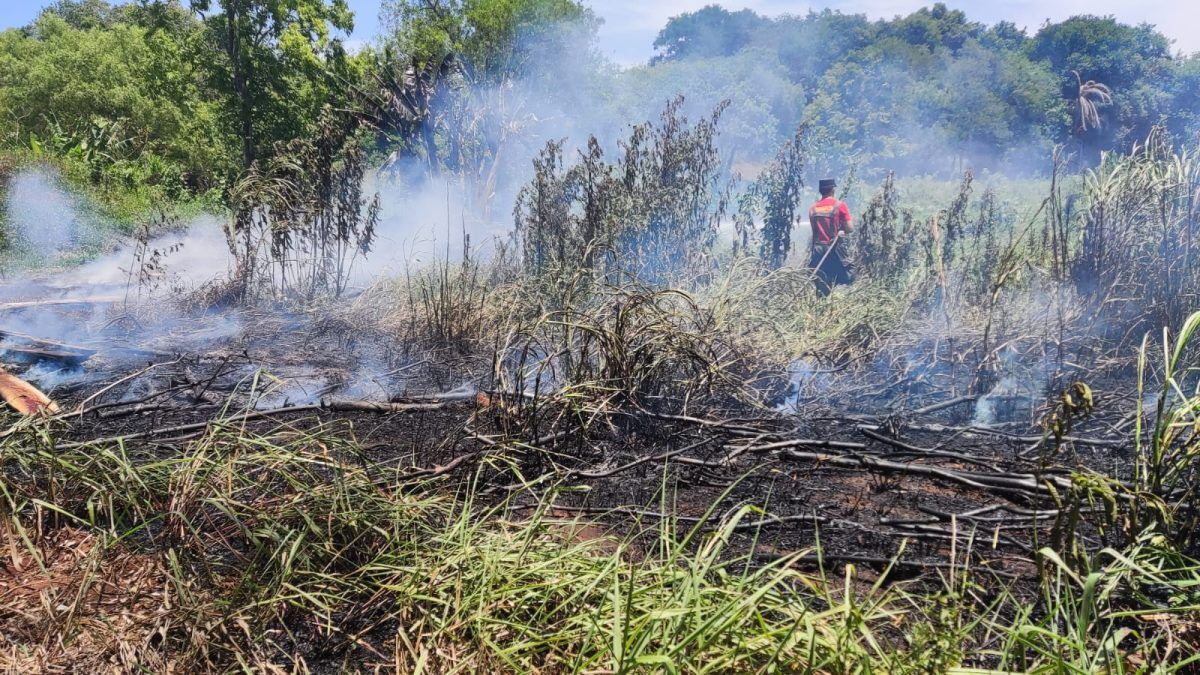 Bombeiros controlam incêndio em vegetação