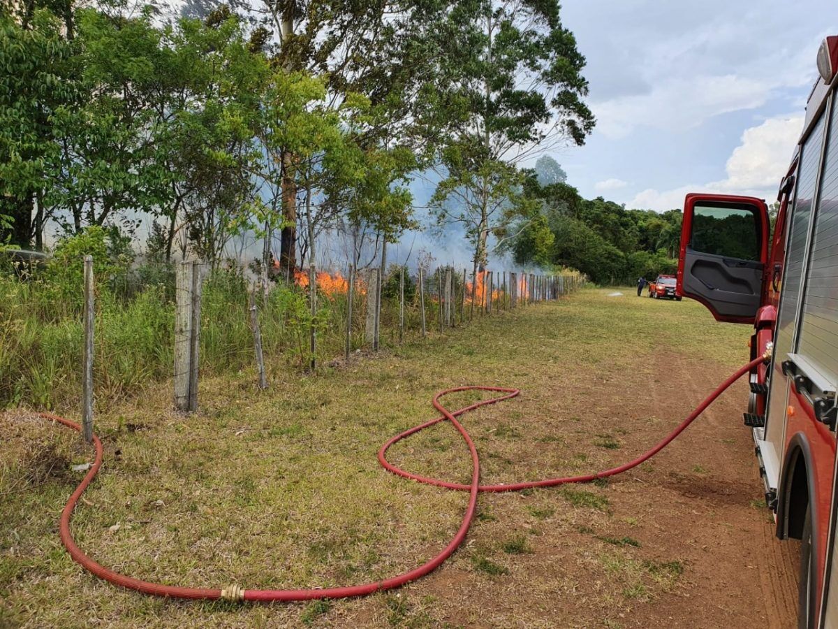 Rojão causa incêndio em área verde