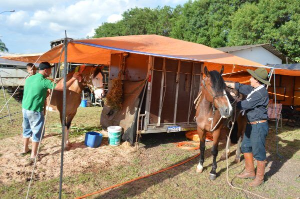 Rodeio Crioulo Dom Ermilo recebe 80 piquetes e CTGs