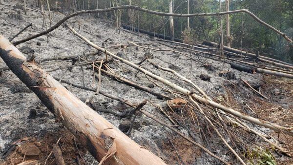 Bombeiros combatem incêndio no Alto Conventos