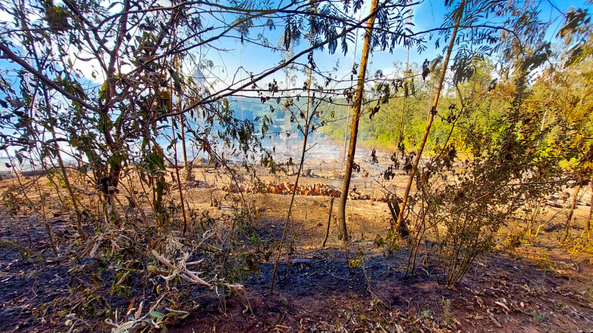Incêndio em Bom Retiro do Sul consome um hectare de vegetação nativa