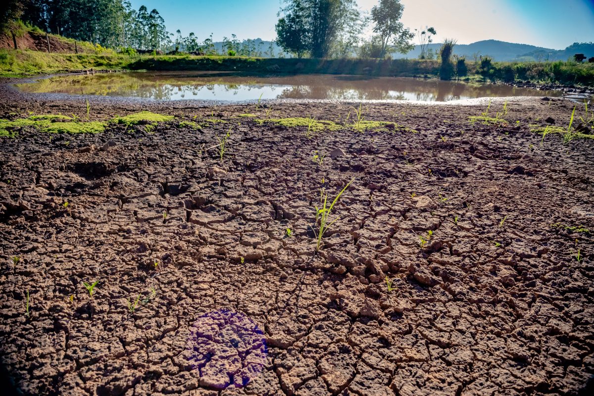 Progresso decreta situação de emergência devido à seca