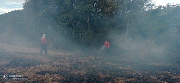 Bombeiros atendem incêndio a vegetação em Forquetinha