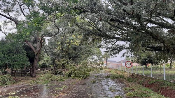 Temporal provoca estragos no Vale do Taquari