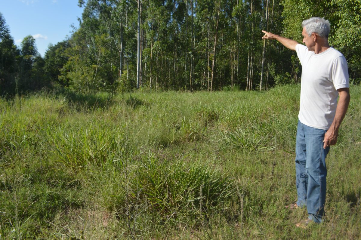 Fepam descarta nova audiência sobre aterro sanitário em Taquari