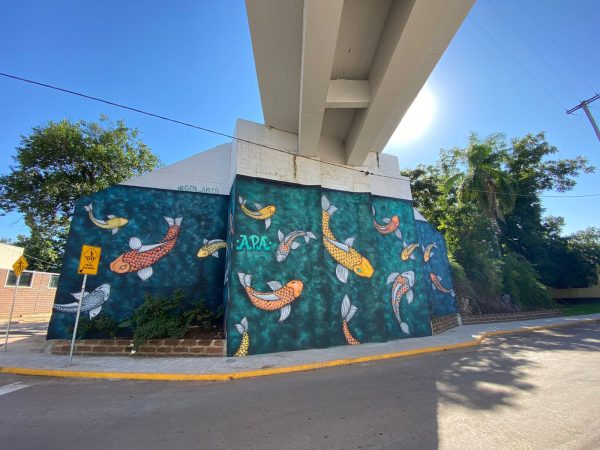 Artistas concluem primeira etapa de grafite em viadutos de Roca Sales