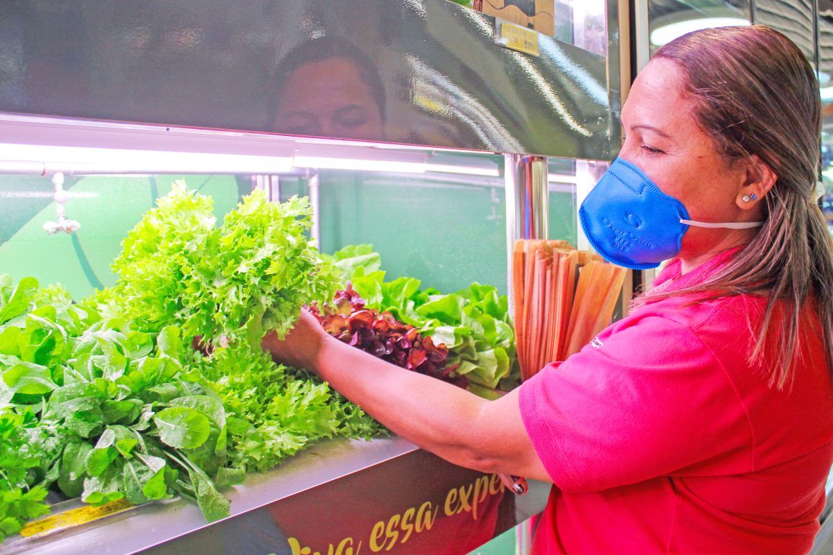 A história por trás de cada produto: Conheça o projeto de rastreabilidade de Frutas e Hortaliças da Languiru