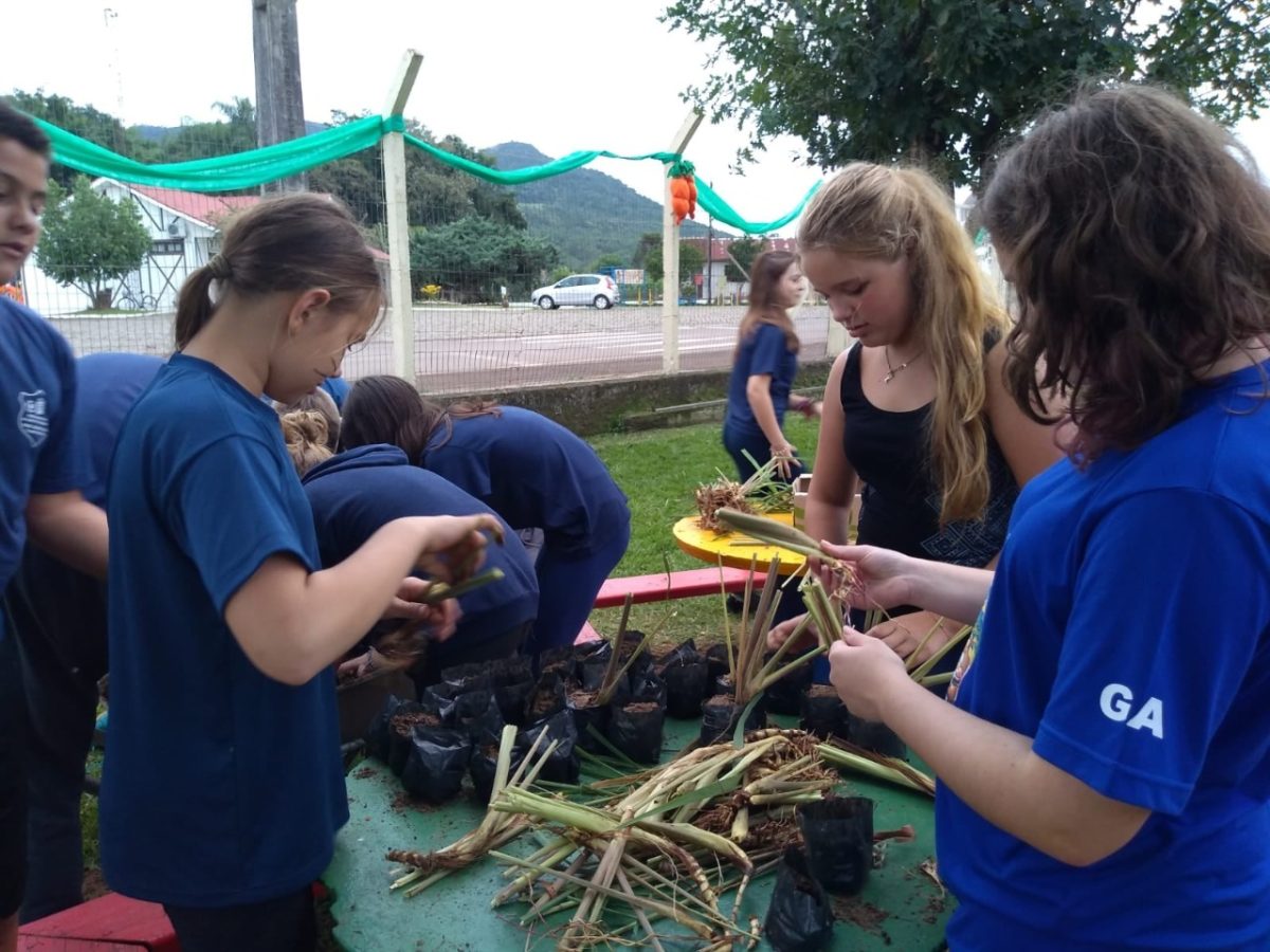 Alunos desenvolvem repelente natural