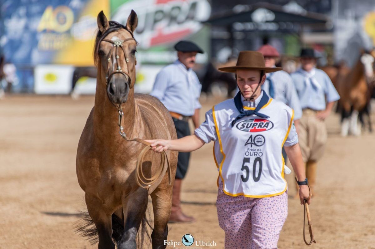 Força de mulher do Vale em busca do Freio de Ouro
