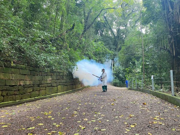 Rodrigo Martini: Guerra e vitória no passado. Incerteza para o futuro