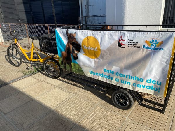 ONG de Taquari tem projeto de triciclos à espera de patrocinadores